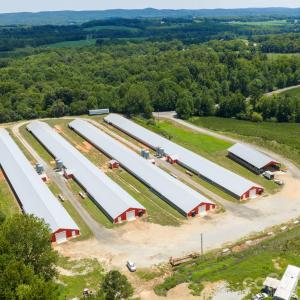 Photo #18 of Hogan Farm, Denton, NC