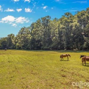 Photo #31 of 815 French Belk, Mt Ulla, NC