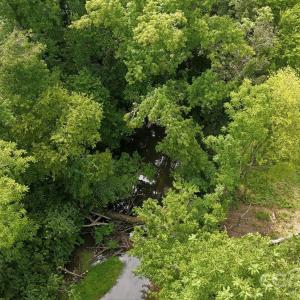 Photo #8 of 4650 Forest View, Blacksburg, SC