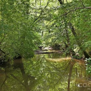 Photo #11 of 4650 Forest View, Blacksburg, SC