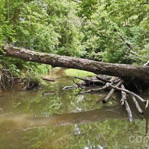 Photo #10 of 4650 Forest View, Blacksburg, SC