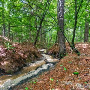 Photo #3 of Westbrook, Edgemoor, SC