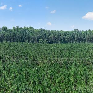 Photo #32 of Westbrook, Edgemoor, SC