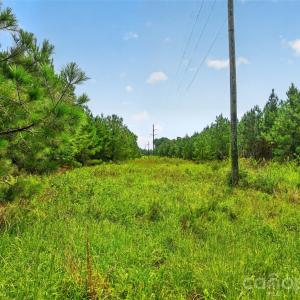 Photo #38 of Westbrook, Edgemoor, SC