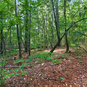 Photo #41 of Westbrook, Edgemoor, SC