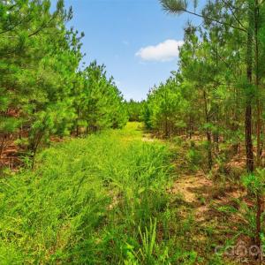 Photo #7 of Westbrook, Edgemoor, SC