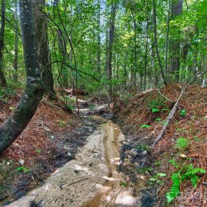 Photo #25 of Westbrook, Edgemoor, SC