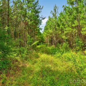 Photo #36 of Westbrook, Edgemoor, SC