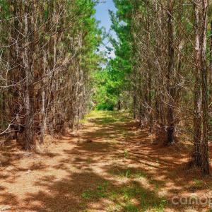 Photo #46 of Westbrook, Edgemoor, SC