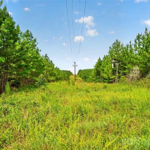 Photo #39 of Westbrook, Edgemoor, SC