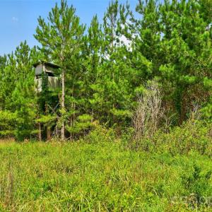 Photo #14 of Westbrook, Edgemoor, SC