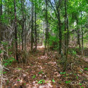 Photo #22 of Westbrook, Edgemoor, SC