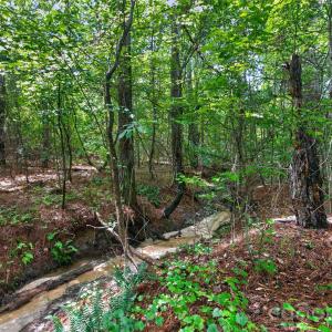 Photo #26 of Westbrook, Edgemoor, SC