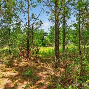 Photo #48 of Westbrook, Edgemoor, SC