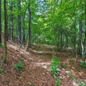Photo #44 of Westbrook, Edgemoor, SC