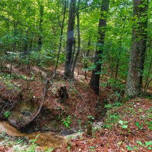 Photo #45 of Westbrook, Edgemoor, SC