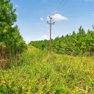 Photo #9 of Westbrook, Edgemoor, SC