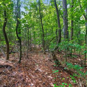 Photo #15 of Westbrook, Edgemoor, SC