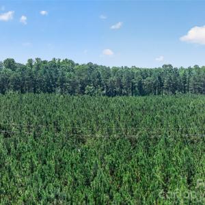 Photo #31 of Westbrook, Edgemoor, SC