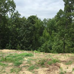 Photo #8 of 552 Placid, Fort Mill, SC