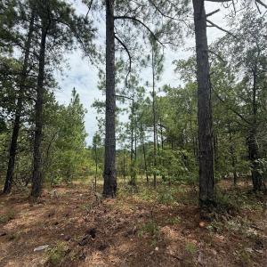 Photo #1 of TBD Sheridan Oliver, Ruby, SC