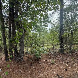 Photo #5 of TBD Sheridan Oliver, Ruby, SC