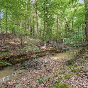 Photo #5 of VAC Pond, Locust, NC