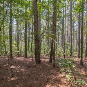 Photo #26 of Riverbluff, Lilesville, NC