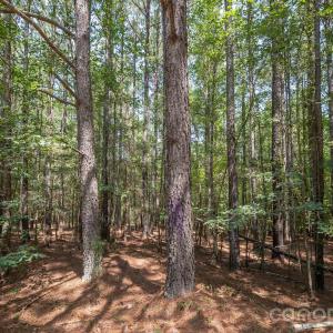 Photo #27 of Riverbluff, Lilesville, NC