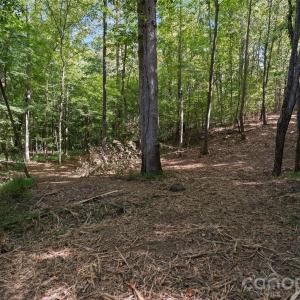 Photo #43 of 630 Turkey Creek Ridge, York, SC