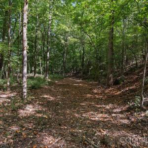 Photo #40 of 630 Turkey Creek Ridge, York, SC