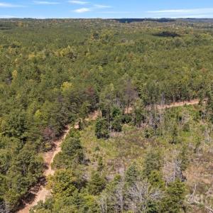 Photo #23 of 630 Turkey Creek Ridge, York, SC