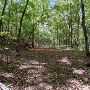 Photo #7 of 630 Turkey Creek Ridge, York, SC