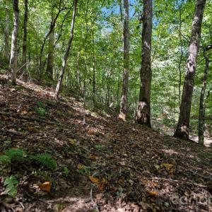 Photo #37 of 630 Turkey Creek Ridge, York, SC