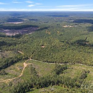 Photo #41 of 630 Turkey Creek Ridge, York, SC
