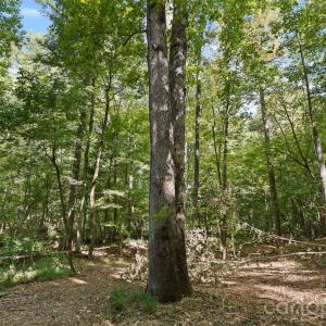 Photo #5 of 630 Turkey Creek Ridge, York, SC
