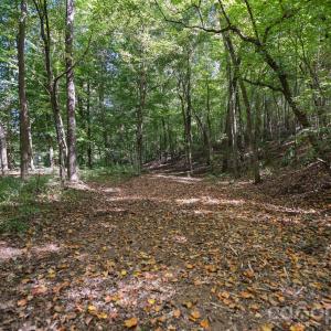 Photo #8 of 630 Turkey Creek Ridge, York, SC