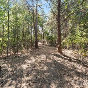 Photo #30 of 630 Turkey Creek Ridge, York, SC