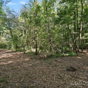 Photo #44 of 630 Turkey Creek Ridge, York, SC