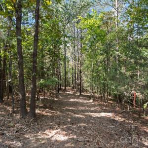 Photo #31 of 630 Turkey Creek Ridge, York, SC