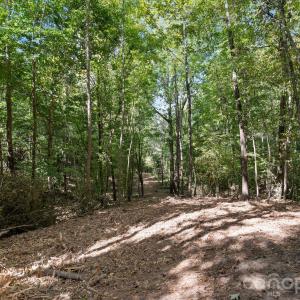 Photo #45 of 630 Turkey Creek Ridge, York, SC