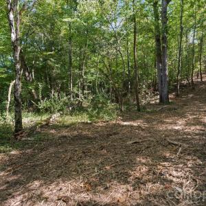 Photo #34 of 630 Turkey Creek Ridge, York, SC