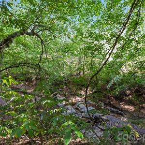 Photo #11 of 630 Turkey Creek Ridge, York, SC
