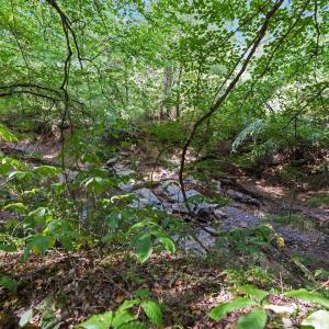 Photo #2 of 630 Turkey Creek Ridge, York, SC