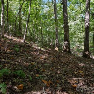 Photo #36 of 630 Turkey Creek Ridge, York, SC