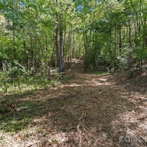 Photo #35 of 630 Turkey Creek Ridge, York, SC