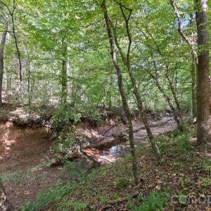 Photo #3 of 630 Turkey Creek Ridge, York, SC