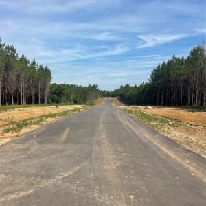 Photo #3 of 818 Everwood, McConnells, SC