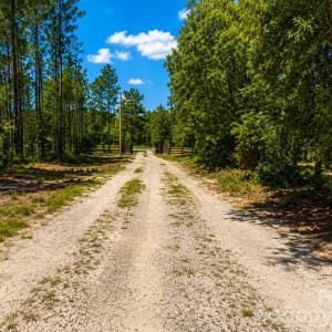 Photo #9 of 3203 Landfill, Mount Croghan, SC