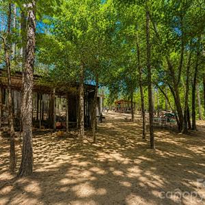 Photo #16 of 3203 Landfill, Mount Croghan, SC